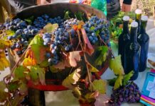 Alla scoperta dei vini della Penisola Sorrentina: masterclass tra gusto e tradizione a Pimonte