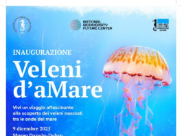 Napoli, la Stazione Zoologica Anton Dohrn inaugura la mostra “Veleni d’aMare”