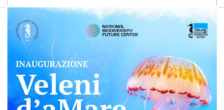 Napoli, la Stazione Zoologica Anton Dohrn inaugura la mostra “Veleni d’aMare”