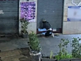 Maxi operazione contro i furti in abitazione: 38 arresti tra Napoli e Lazio