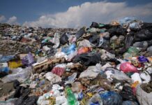 Rifiuti abbandonati a cielo aperto