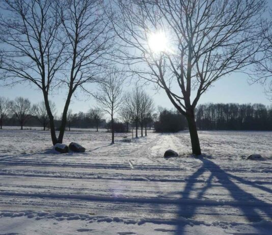 Torna il sole dopo una forte nevicata