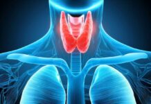 TIROIDE DA NAPOLI L’ALLARME DEGLI ESPERTI NE SOFFRE IL 10 PER CENTO DEGLI ITALIANI