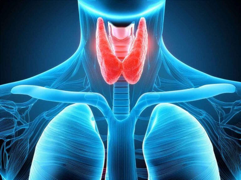Tiroide, da Napoli l’allarme degli esperti ne soffre il 10 per cento degli italiani: “Approccio multidisciplinare vero gold standard”