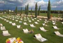 San Giorgio a Cremano, ordigno esplode davanti a “L’Arcobaleno di Fido”