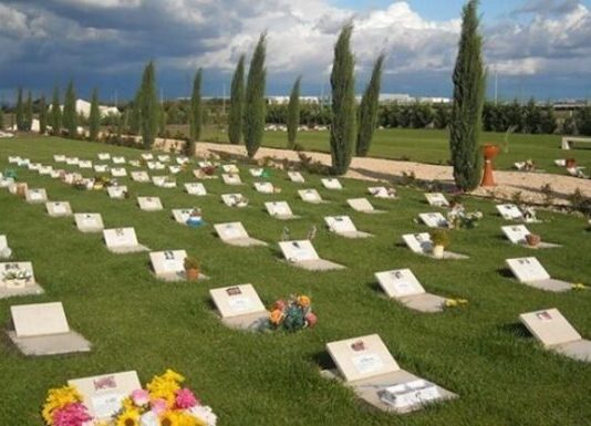 San Giorgio a Cremano, ordigno esplode davanti a “L’Arcobaleno di Fido”