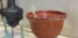 “Dall’uovo alle mele”: a Ercolano la mostra sulla civiltà del cibo nell’antica Roma