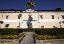 Torre del Greco, il sindaco incontra i 51 tirocinanti del progetto GOL Torre del Greco, il sindaco incontra i 51 tirocinanti del progetto GOL