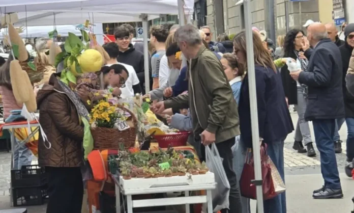 Torre Annunziata, torna il Mercato della Terra: appuntamento domenica 1 febbraio Torre Annunziata, torna il Mercato della Terra: appuntamento domenica 1 febbraio