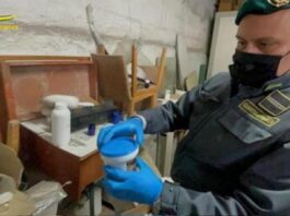 Boscoreale/Scafati, traffico di fitofarmaci: Federico e figli tornano liberi