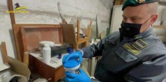 Boscoreale/Scafati, traffico di fitofarmaci: Federico e figli tornano liberi