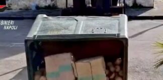 Napoli e Caserta, Maxi sequestro di hashish: 387 chili nascosti tra la frutta