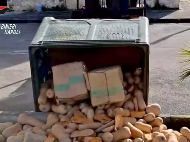 Napoli e Caserta, Maxi sequestro di hashish: 387 chili nascosti tra la frutta Napoli e Caserta, Maxi sequestro di hashish: 387 chili nascosti tra la frutta