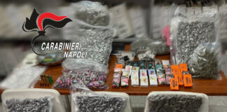 Brusciano: ovuli, panetti e chili di droga. Operazione dei Carabinieri tra i casermoni della “219”