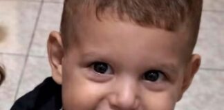 Morte di Domenico Caliendo, svolta nel caso: nessuna lesione al cuore durante l'espianto