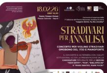 Stradivari per Annalisa locandina
