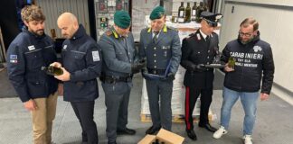 Sequestrate oltre 18 tonnellate di olio falsamente dichiarato “extravergine”: denunciato un imprenditore