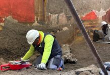 Villa di Poppea, Oplonti torna a vivere: riaprono gli scavi tra restauri, nuove scoperte e visite guidate