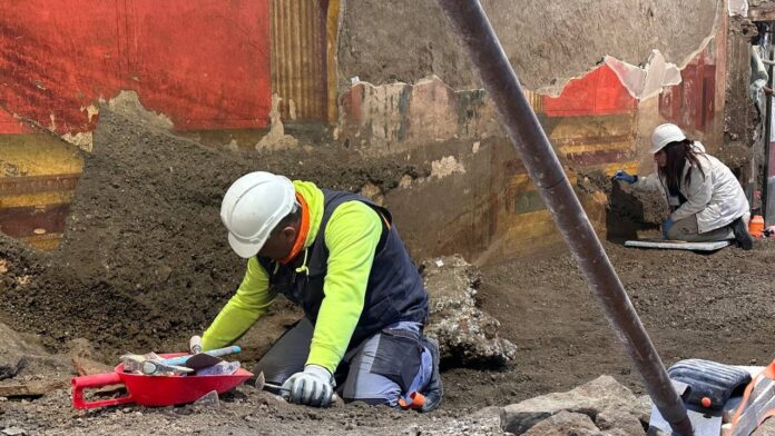 Villa di Poppea, Oplonti torna a vivere: riaprono gli scavi tra restauri, nuove scoperte e visite guidate Villa di Poppea, Oplonti torna a vivere: riaprono gli scavi tra restauri, nuove scoperte e visite guidate