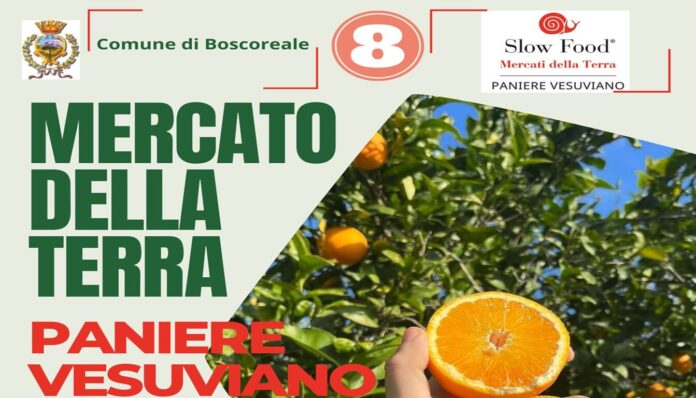 Il Mercato della Terra di Boscoreale festeggia 8 anni a Piazza Vargas con i prodotti dell’inverno vesuviano