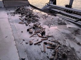 Cannolicchi a rischio lungo la costa salernitana: Genenvet avvia uno studio sulle cause della drastica riduzione