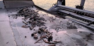 Cannolicchi a rischio lungo la costa salernitana: Genenvet avvia uno studio sulle cause della drastica riduzione