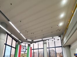 Striano, via libera unanime alla Fondazione per il Carnevale Strianese