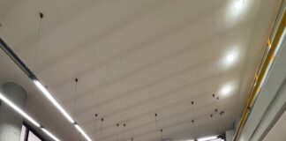 Striano, via libera unanime alla Fondazione per il Carnevale Strianese Striano, via libera unanime alla Fondazione per il Carnevale Strianese