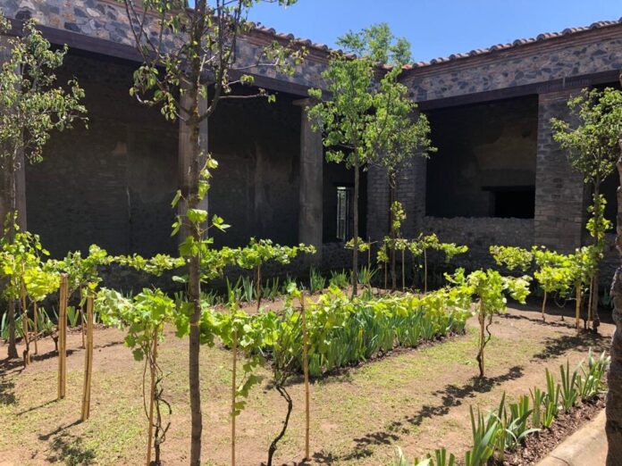 Pompei celebra la Giornata del Paesaggio tra vigneti, vivaio e percorsi nel verde per famiglie