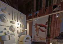 Ercolano, viaggio nel cibo dell’antica Roma: un nuovo percorso tra storia e quotidianità