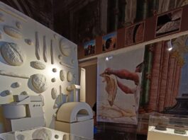 Ercolano, viaggio nel cibo dell’antica Roma: un nuovo percorso tra storia e quotidianità