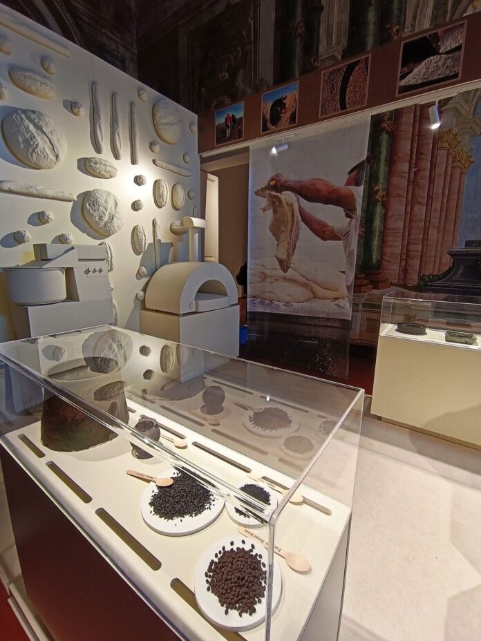 Ercolano, viaggio nel cibo dell’antica Roma: un nuovo percorso tra storia e quotidianità