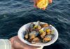 Piatto di cozze crude