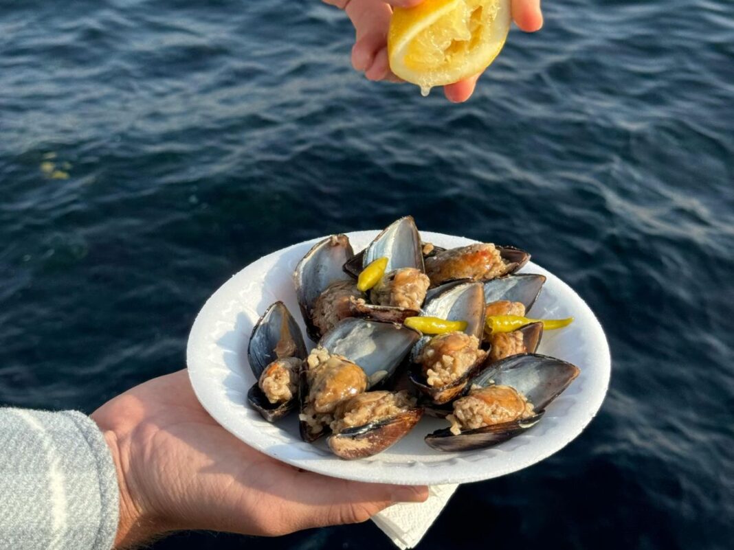 Cozze Piatto di cozze crude