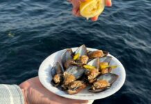 Piatto di cozze crude