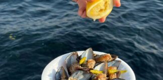 Piatto di cozze crude