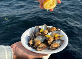 Piatto di cozze crude