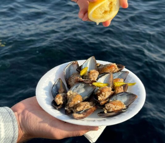 Piatto di cozze crude