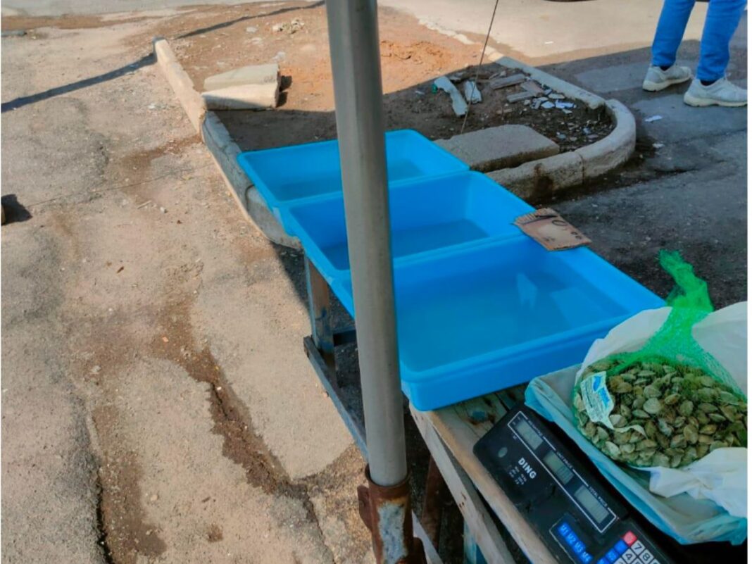 Prodotti ittici in cattivo stato di conservazione