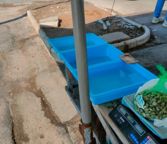 Prodotti ittici in cattivo stato di conservazione