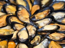 Napoli, aumentano i casi di epatite A: rafforzati i controlli sui molluschi