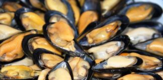 Napoli, aumentano i casi di epatite A: rafforzati i controlli sui molluschi