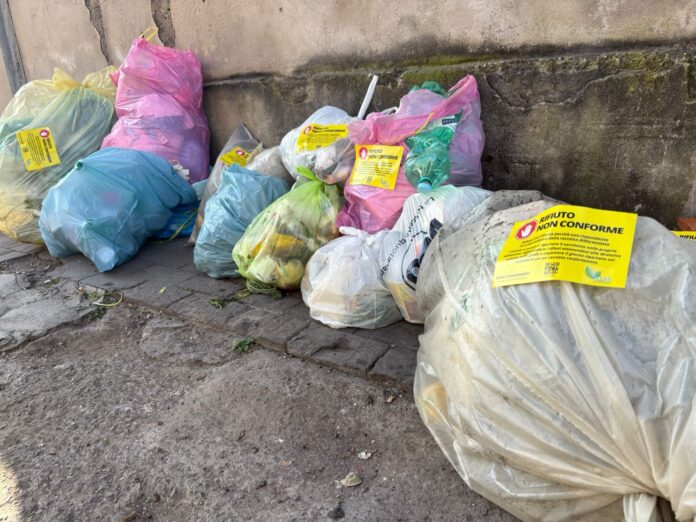 Torre del Greco, controlli sui rifiuti: 15 multe per conferimenti irregolari Torre del Greco, controlli sui rifiuti: 15 multe per conferimenti irregolari